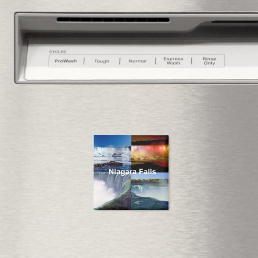 ナイアガラ滝ズニューヨーク マグネット (インサイチュ (食洗機))