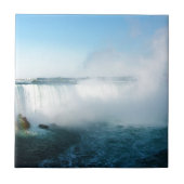 ナイアガラ滝。 タイル (正面)