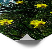 ナイアガラ滝 ポスター (角)