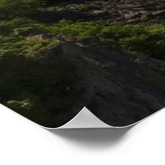 ナイアガラ滝 ポスター (角)