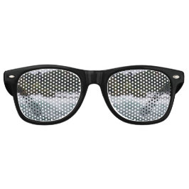 ナイアガラ滝 レトロサングラス