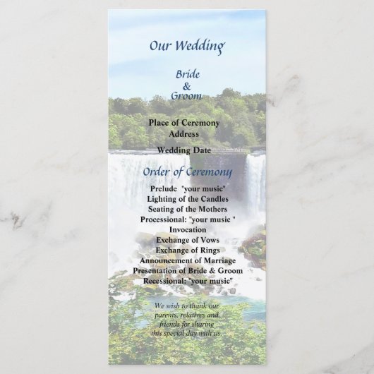 ナイアガラ秋アメリカンとブライダルヴェール秋 プログラム (正面)