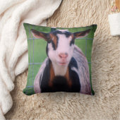 ナイジェカラフルリア矮性乳用ヤギ クッション (ブランケット)