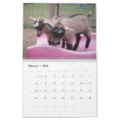 ナイジェリアの小型ヤギ2014のカレンダー カレンダー (2月 2026)