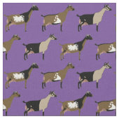 ナイジェリアの矮性乳用ヤギオンパープル ファブリック (クローズアップ)