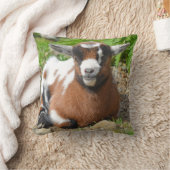 ナイジェリアカラフル·ドワーフ·ヤギ·キッド クッション (ブランケット)