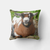 ナイジェリアカラフル·ドワーフ·ヤギ·キッド クッション (裏面)