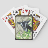 ナイジェリアドワーフヤギデイジー自転車®トランプ トランプ (裏面)