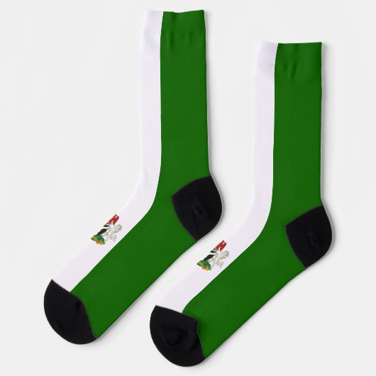 ナイジェリア国旗のコート・オブ・アームズ ソックス (左)