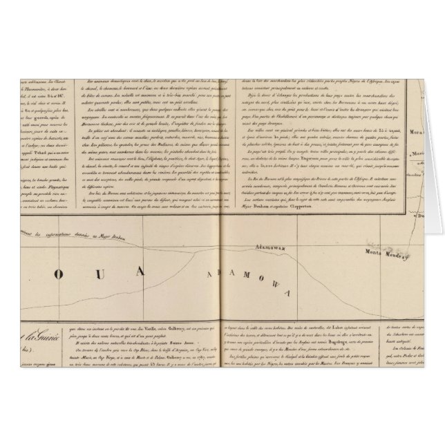 ナイジェリア、カメルーン (正面横)