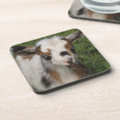 ナイジカラフルェリア矮乳乳製山羊 コースター (左側)