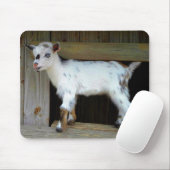 ナイジカラフルェリア矮乳乳製山羊 マウスパッド (マウス)