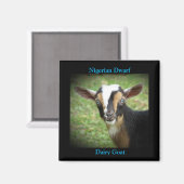 ナイジカラフルェリア矮乳乳製山羊 マグネット (正面/裏面)