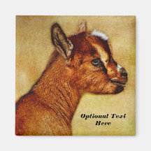 ナイジパーソナライズされたェリア矮乳乳製山羊