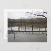 ナイスウォーク ポストカード (正面/裏面)