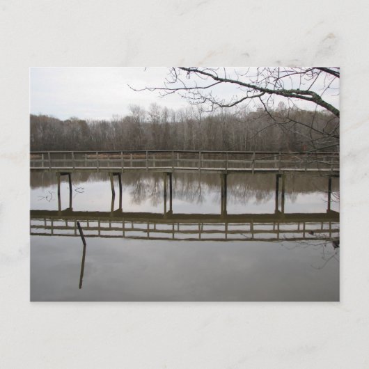 ナイスウォーク ポストカード (正面)