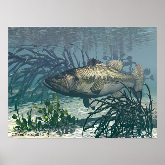 ナイスキャッチ ポスター (正面)