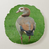 ナイスバードラウンドピロー ラウンドクッション (正面)