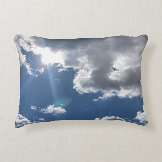 ナイスブライトの日 アクセントクッション (正面)