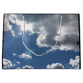 ナイスブライトの日 ラージペーパーバッグ