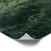 ナイスホース ポスター (角)