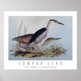 ナイターヘロン ポスター