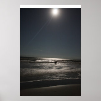 ナイター・スイミング ポスター