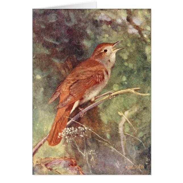 ナイチンゲールの歌うこと (正面)