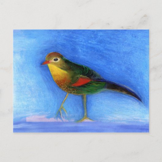 ナイチンゲールライト2012 ポストカード (正面)