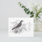 ナイチンゲール ポストカード (スタンド正面)