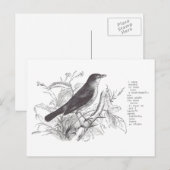 ナイチンゲール ポストカード (正面/裏面)