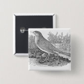 ナイチンゲール 缶バッジ (正面&裏面)