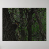 ナイトアイズ ポスター (正面)