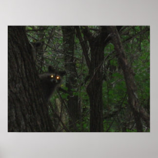 ナイトアイズ ポスター