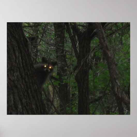 ナイトアイズ ポスター (正面)