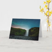 ナイトアットスコガフォス カード (黄色い花)