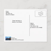 ナイトアットネイビーピア ポストカード (裏面)