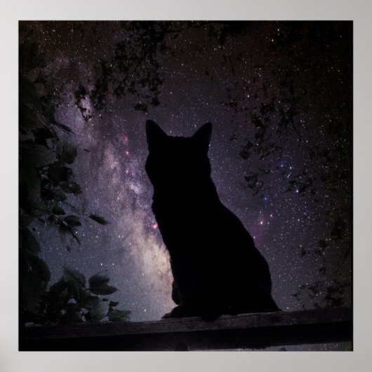 ナイトウォッチ ポスター (正面)