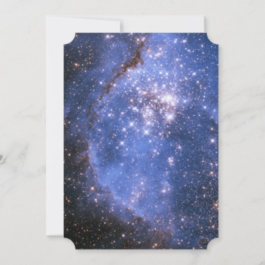 ナイトエレガントスカイ/宇宙テーマ結婚式招待状 招待状 (裏面)