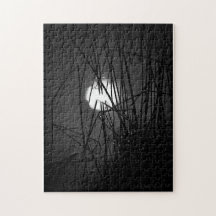 ナイトオンザポンドパズル