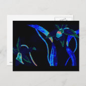 ナイトオーキッド ポストカード (正面/裏面)