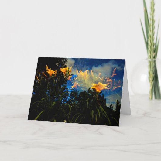 ナイトカードの森の中で カード (正面)