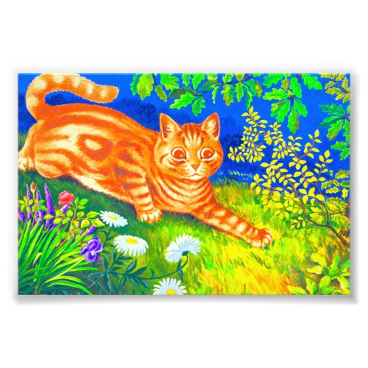 ナイトキャット フォトプリント            (正面)