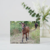 ナイトシルエット ポストカード (スタンド正面)