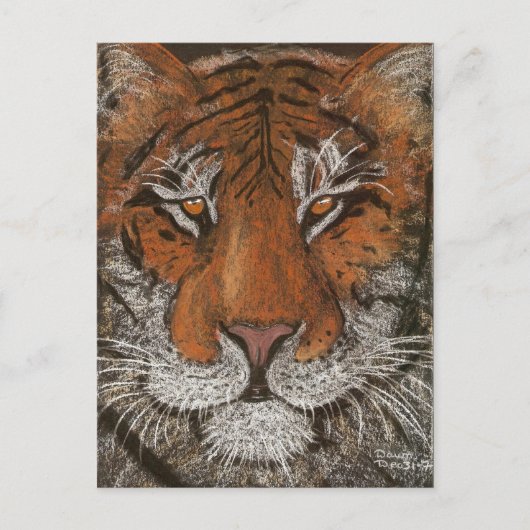 ナイトタイガー ポストカード (正面)