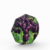 ナイトチューリップの女王 フォトブロック (左)