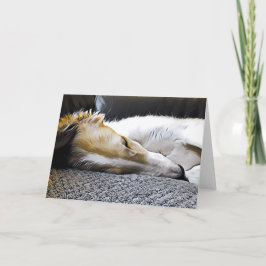 ナイトナイトボルゾイ 案内状