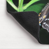 ナイトバタフライブラックアゲハチョウアットシェナンドア マウスパッド (コーナー)