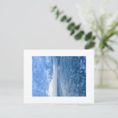 ナイトビーチ ポストカード (スタンド正面)