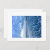 ナイトビーチ ポストカード (正面/裏面)